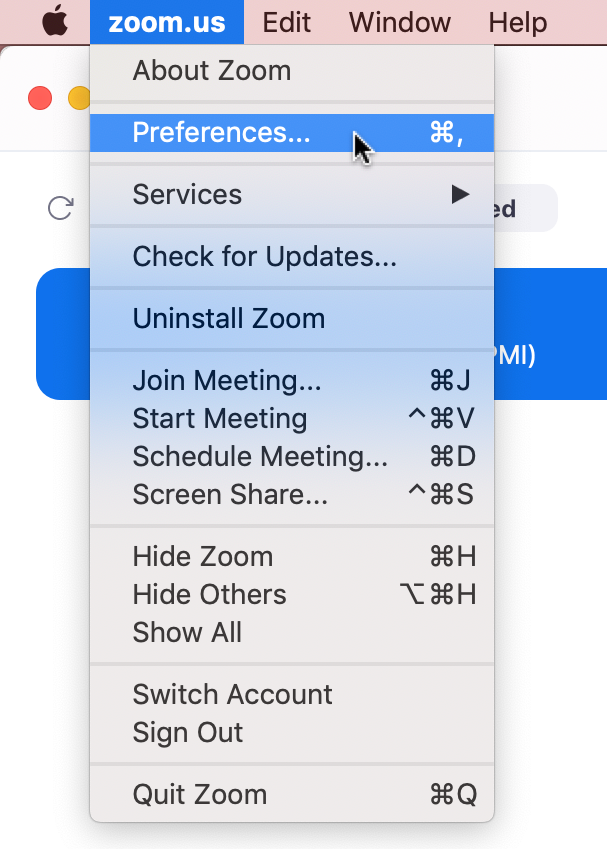 Opening Preferences on Zoom
